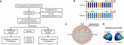 Beneficial Effect of High-Frequency Repetitive Transcranial Magnetic Stimulation for the Verbal Memory and Default Mode Network in Healthy Older Adults